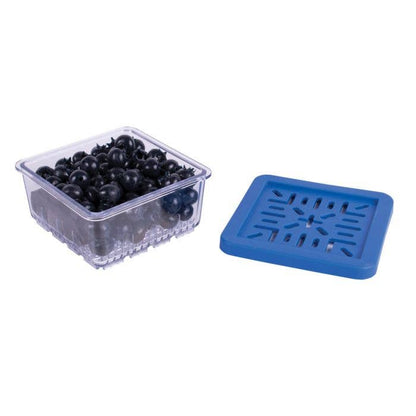 HIC Kitchen BerryFresh Produce Box Half Pint