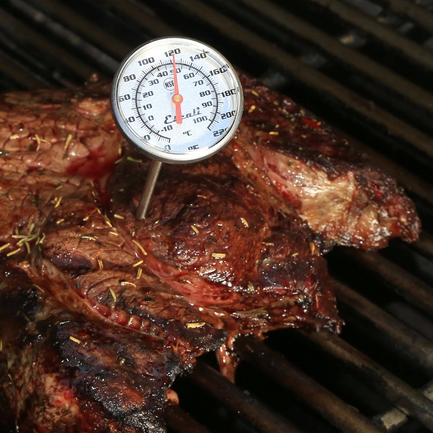 Escali Folding Digital Thermometer