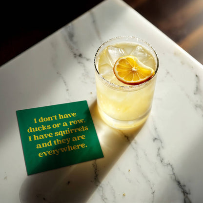 Funny Cocktail Napkins - I have squirrels
