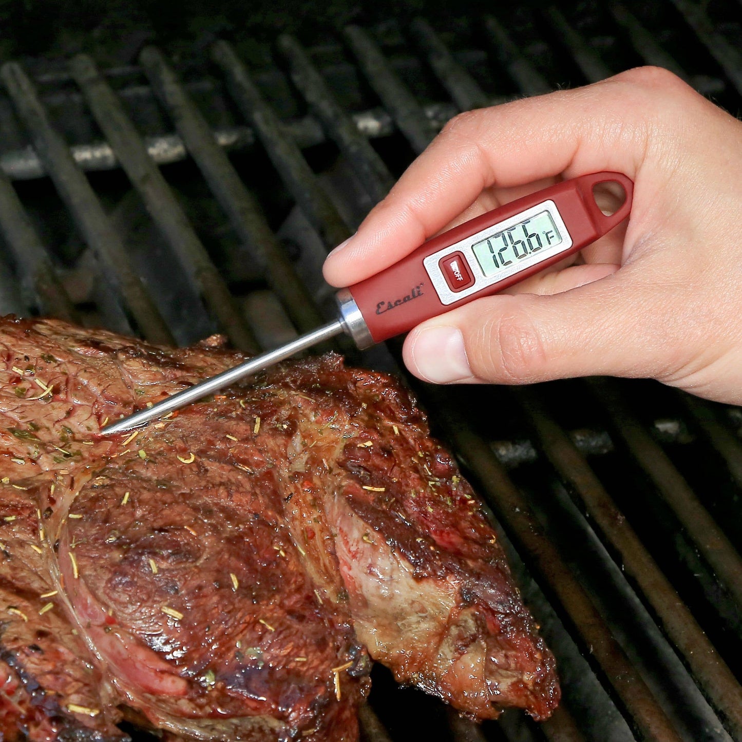 Escali Gourmet Digital Thermometer: Blue