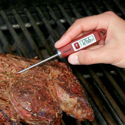 Escali Gourmet Digital Thermometer: Blue