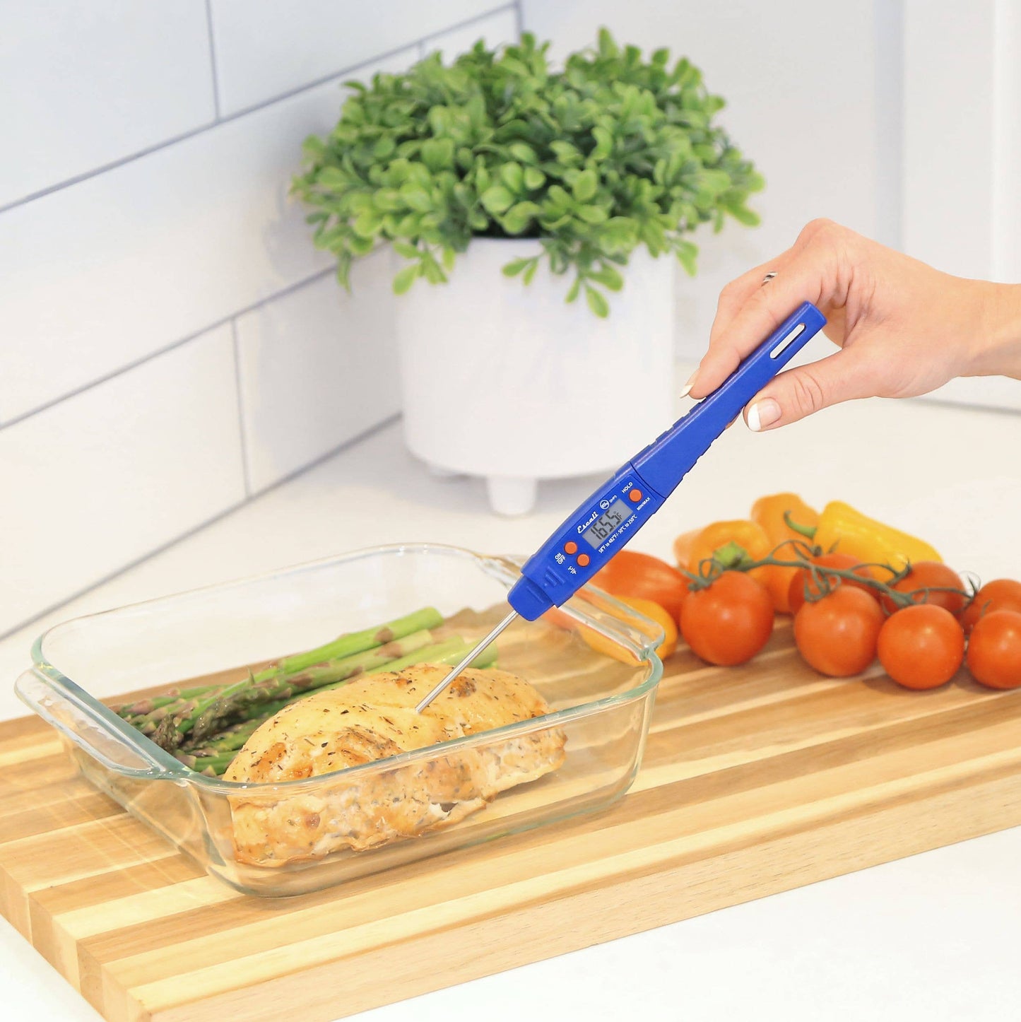 Escali Waterproof Digital Thermometer