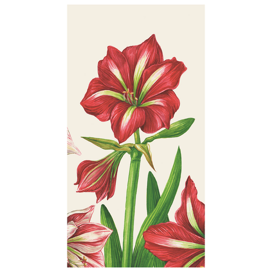 Amaryllis Blooms Guest Napkin