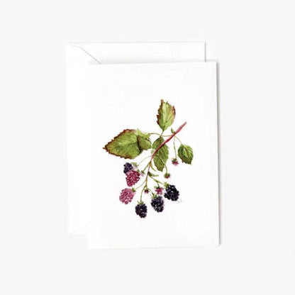 Blackberry mini enclosure notecard