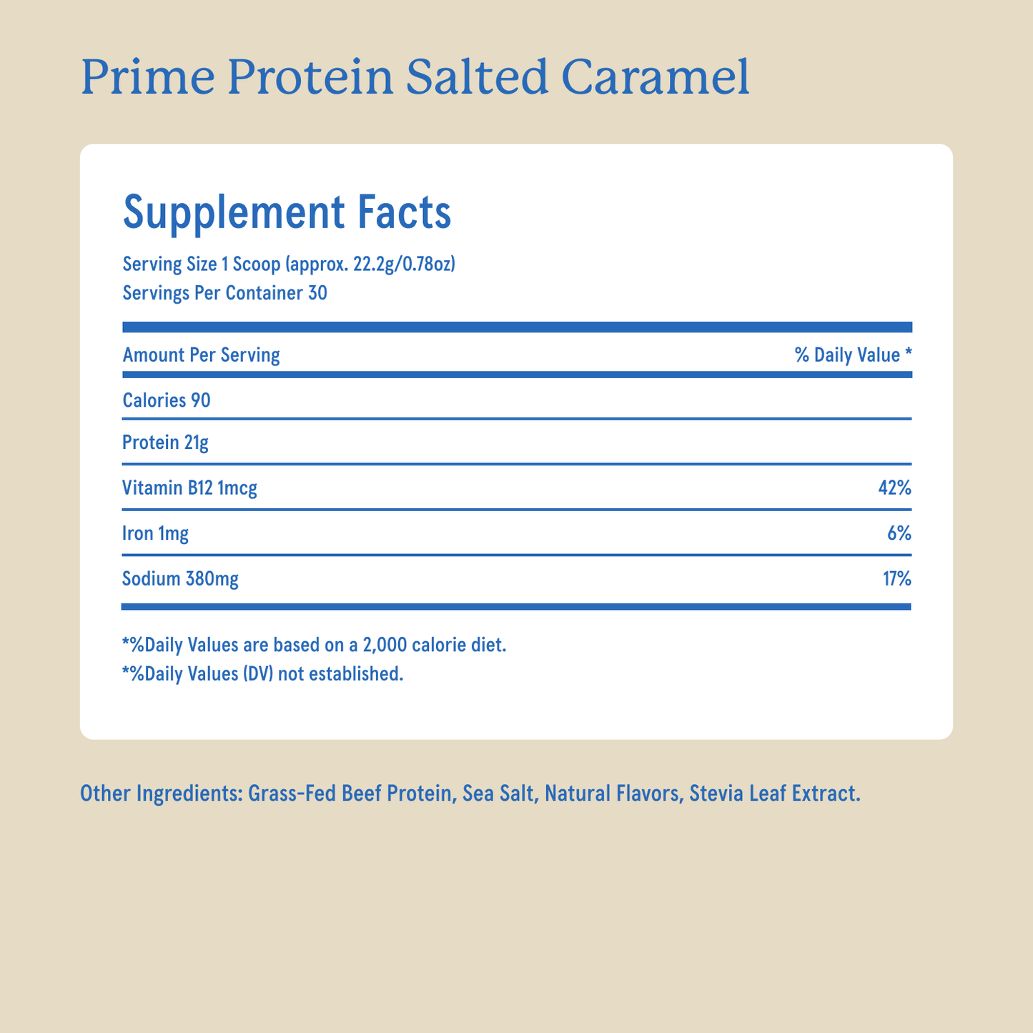Prime Protein: Vanilla