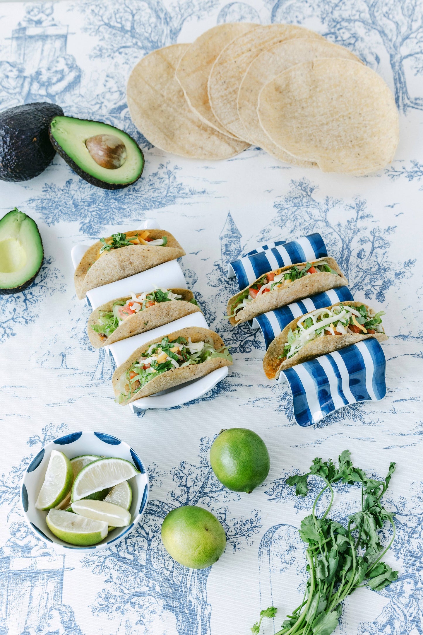 Taco Holder Multiple - Coastal Stripe