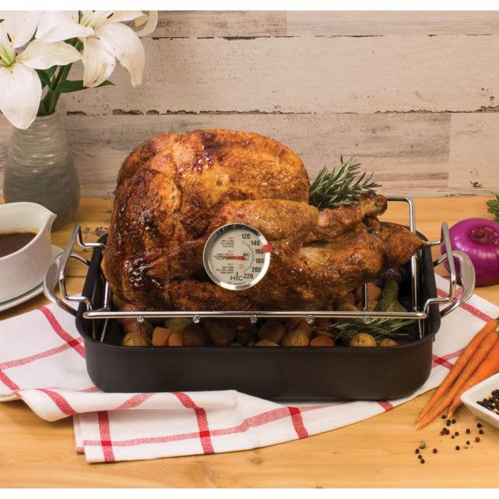 HIC Kitchen Roasting Meat Thermometer