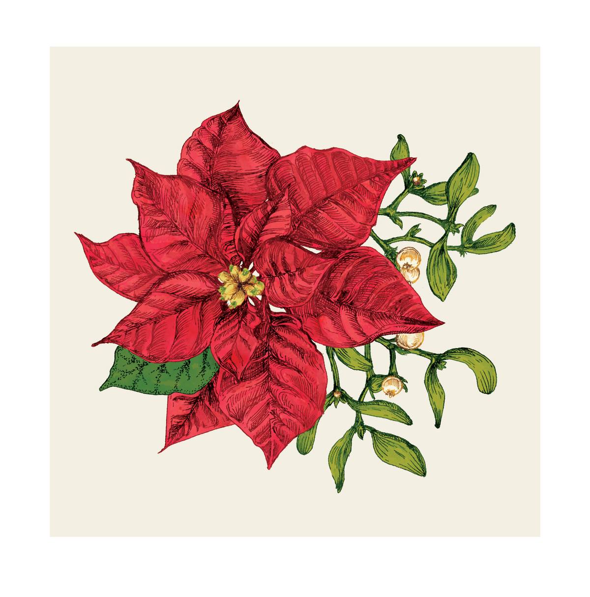 Poinsettia Cocktail Napkin - pack of 20