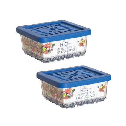 HIC Kitchen BerryFresh Produce Box Half Pint