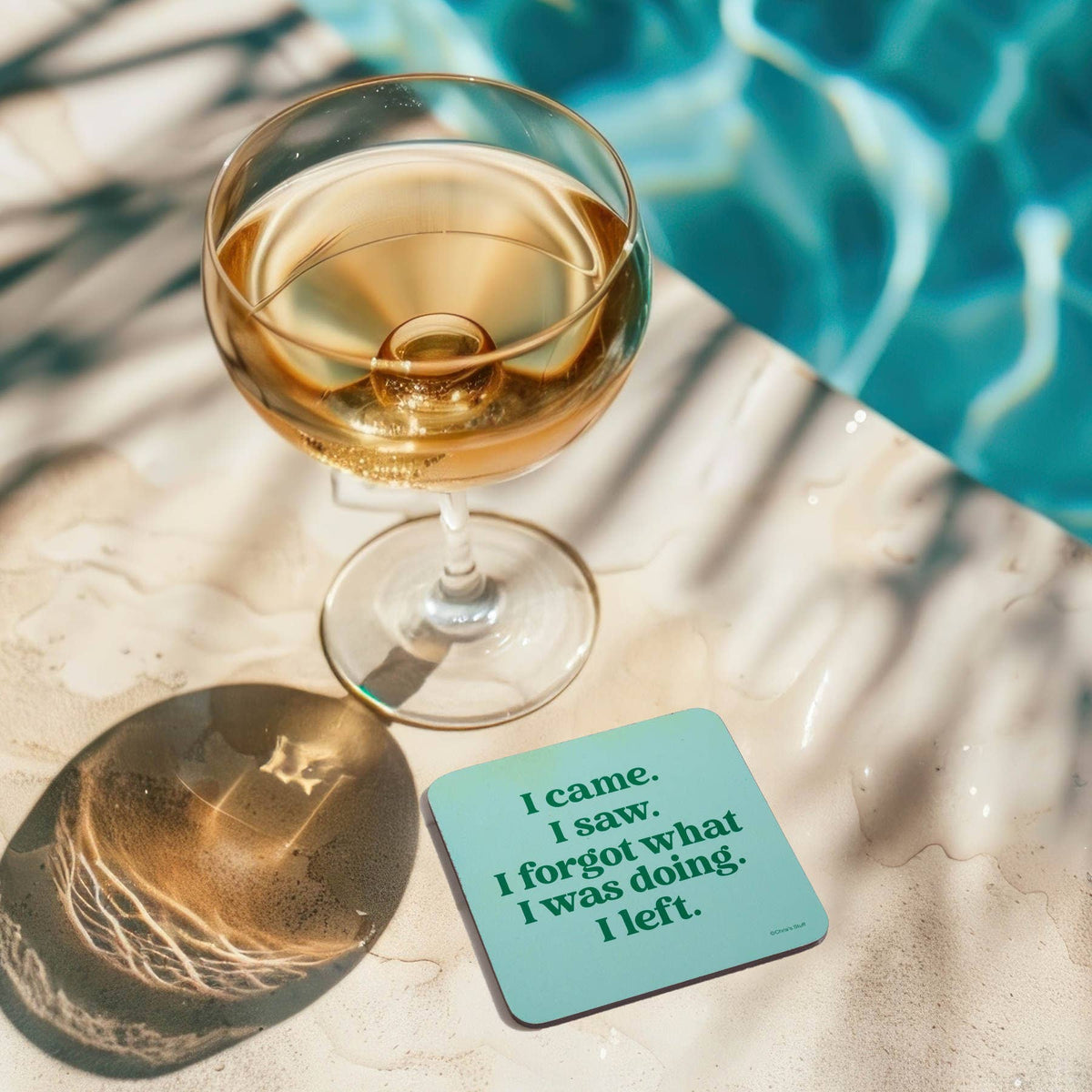 Funny Coaster - I came.  I saw.