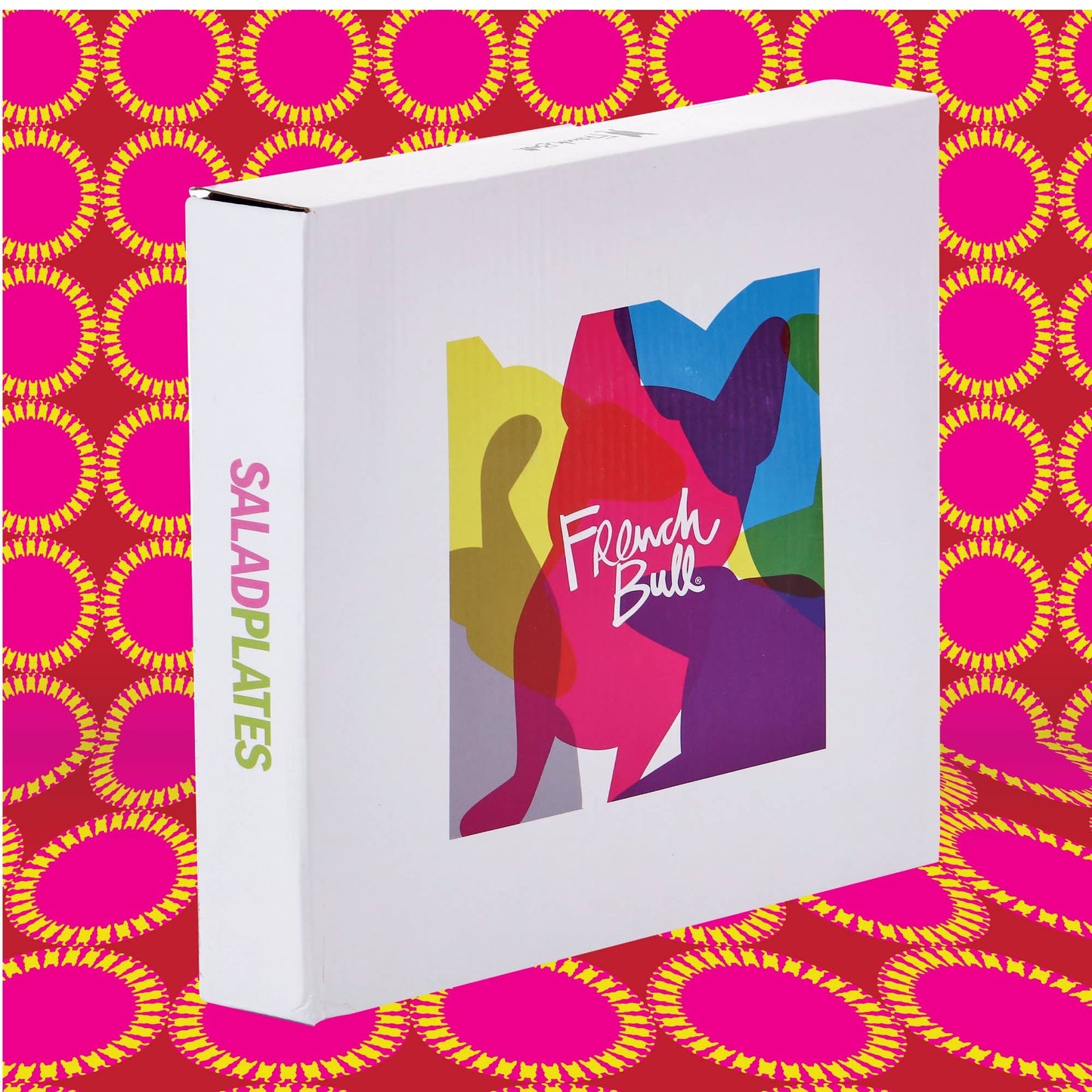 Ziggy 9" Salad Plate Gift Box - Set of 4