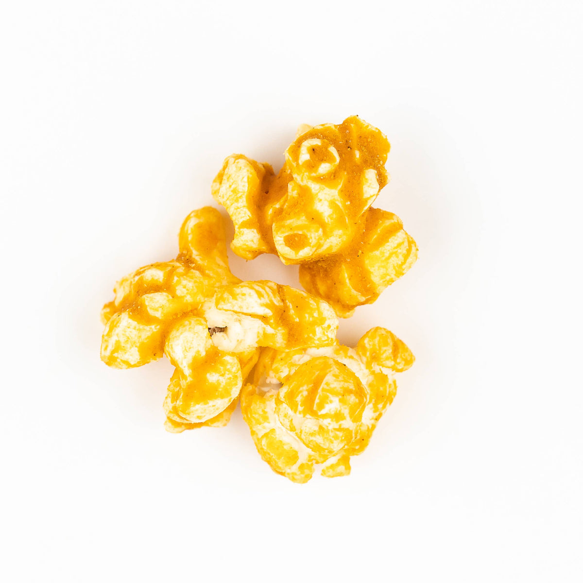 In-Store Sampling Kit:  Cheesy Favorites