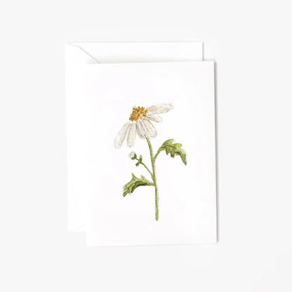 Daisy mini enclosure notecard