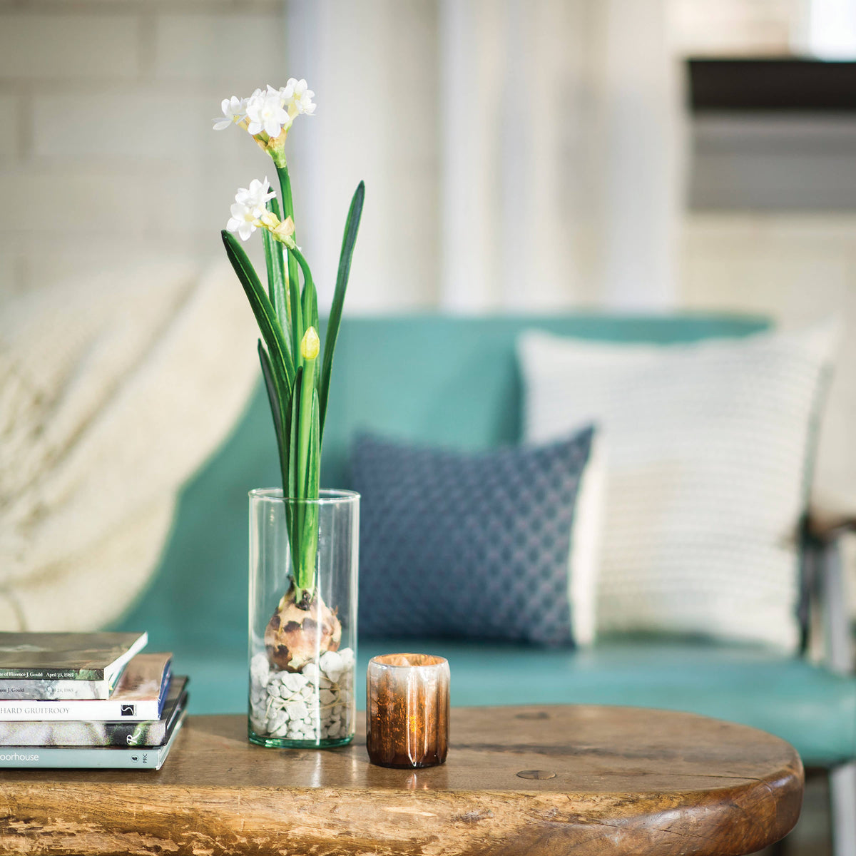 Winter Bulb Kit: Paperwhites