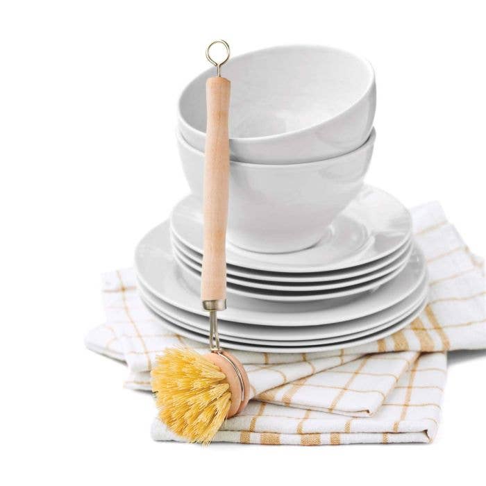 HIC Kitchen Natural Bristle Veggie And Dish Scrub Brush