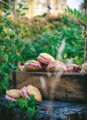 Norwegian Baking